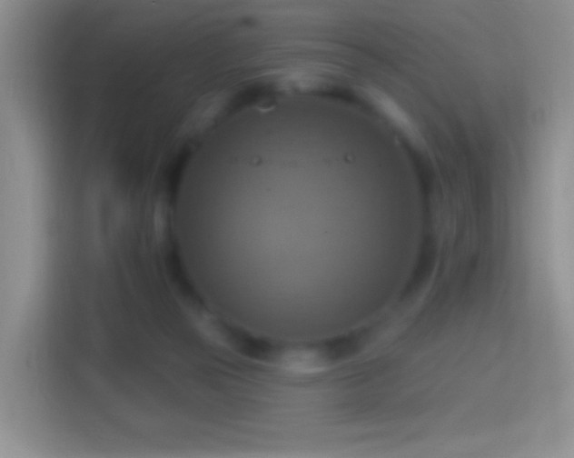 X0000114420169200910231213