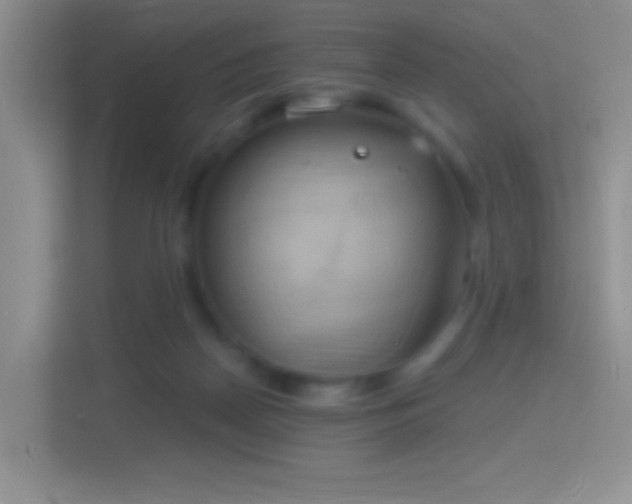 X0000114420170200910231213