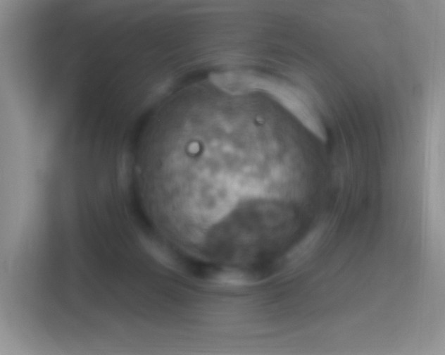 X0000114420171200910231213