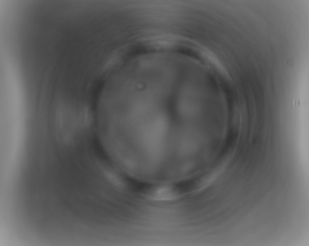 X0000114420173200910231213