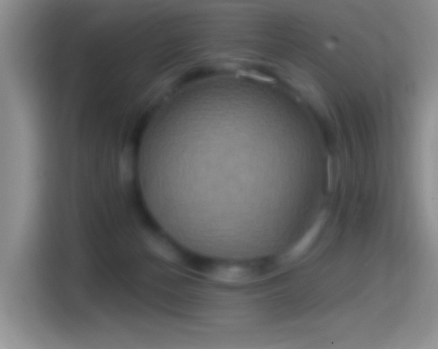 X0000114420174200910231213