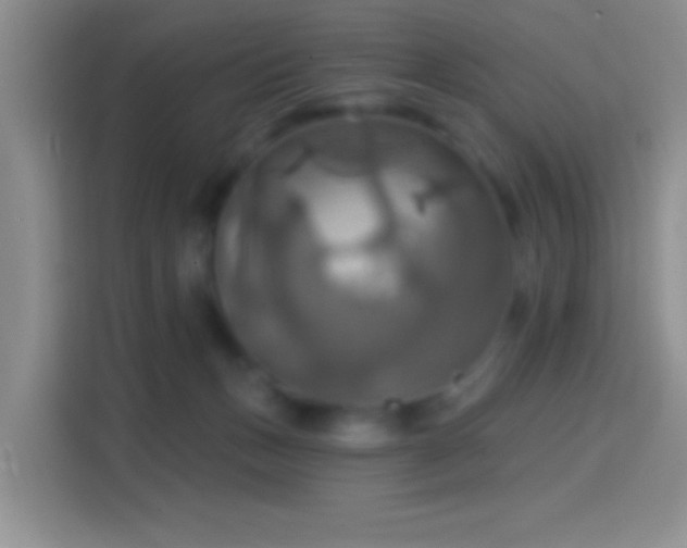X0000114420175200910231213