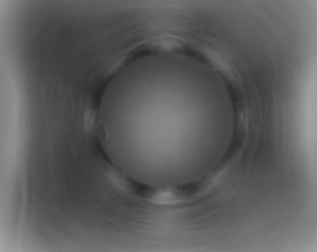 X0000114420177200910231213