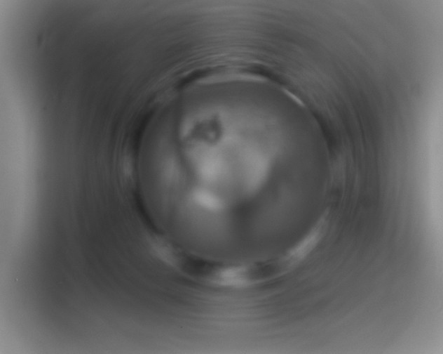 X0000114420178200910231213