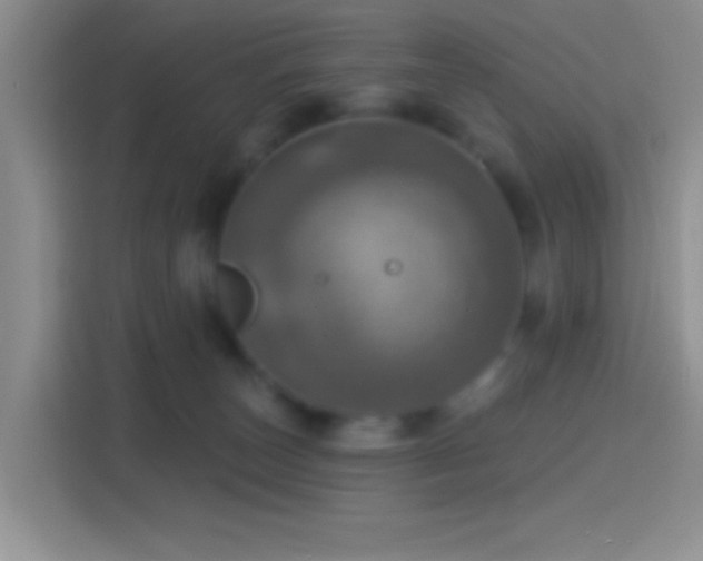 X0000114420179200910231213