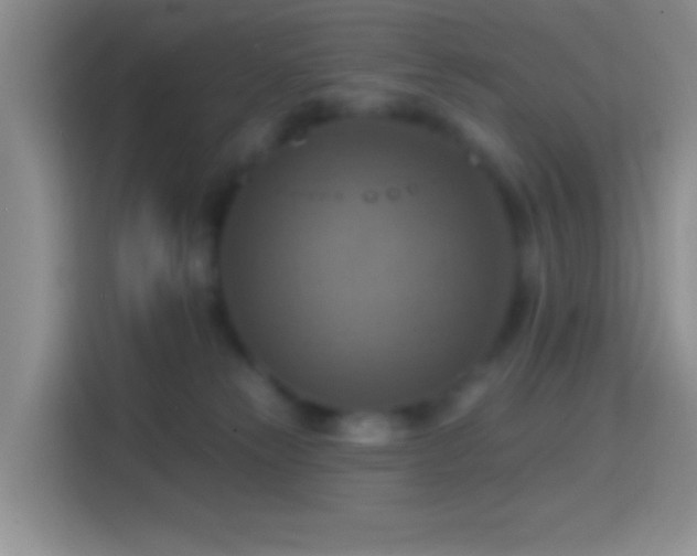 X0000114420181200910231213