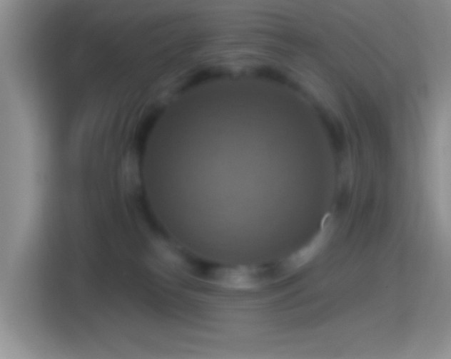 X0000114420182200910231213