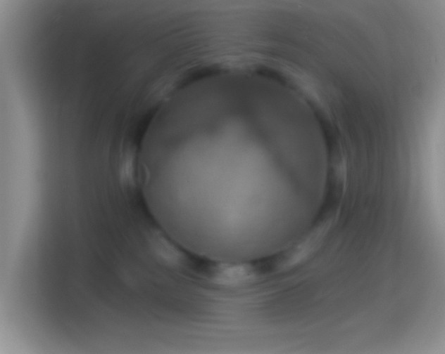 X0000114420185200910231213