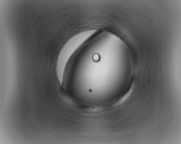 X0000114420186200910231213