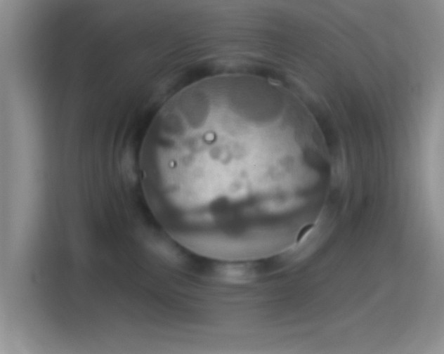 X0000114420187200910231213