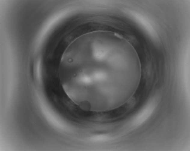 X0000114420189200910231214