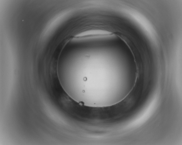 X0000114420190200910231214