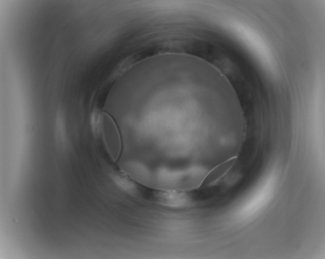 X0000114420191200910231214