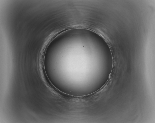 X0000114420193200910231213