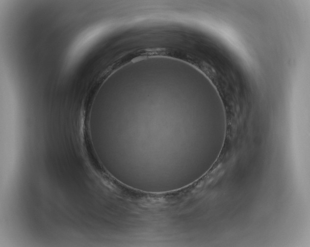 X0000114420194200910231213