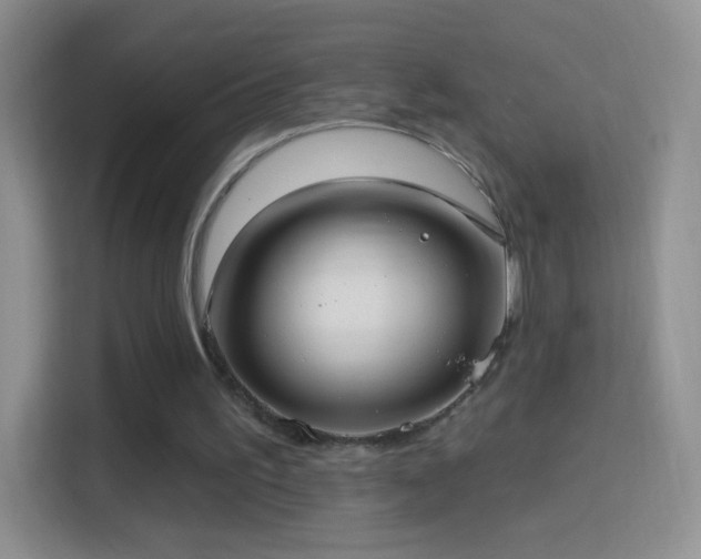 X0000114420195200910231213