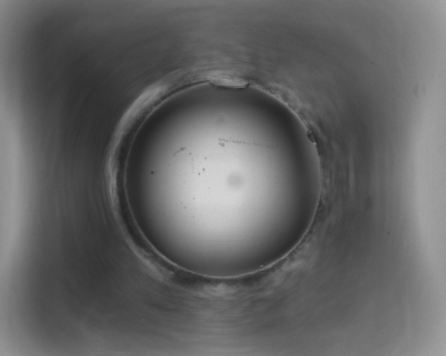 X0000114420197200910231213
