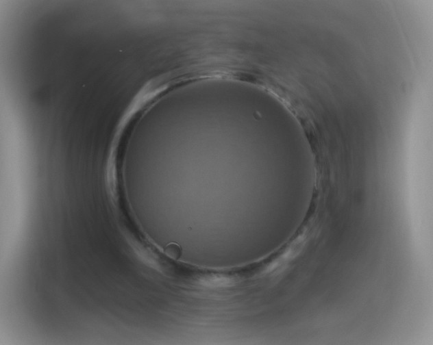 X0000114420198200910231213