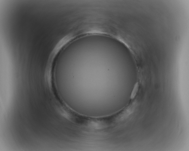 X0000114420199200910231213