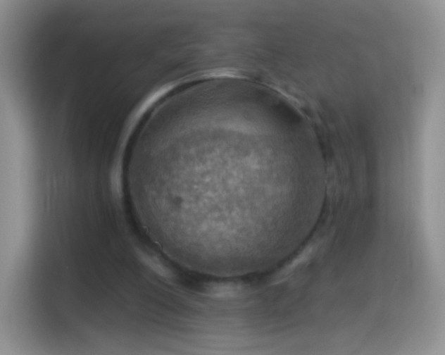 X0000114420200200910231213