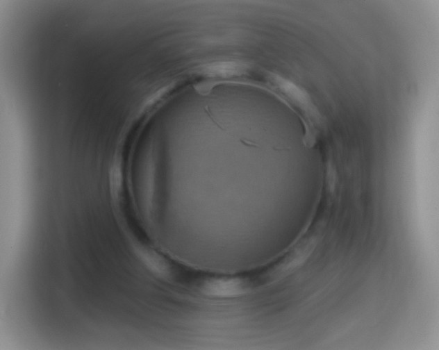 X0000114420202200910231213