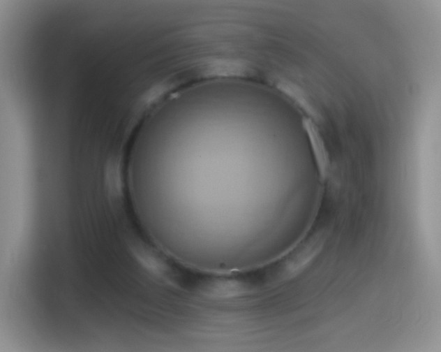 X0000114420203200910231213