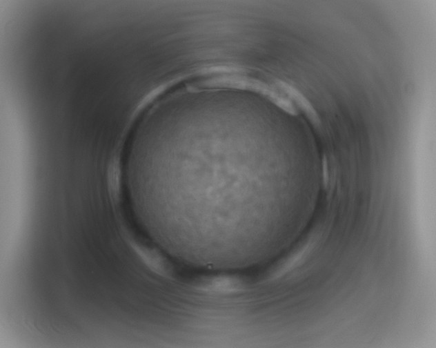 X0000114420204200910231213