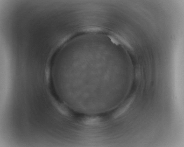 X0000114420206200910231213