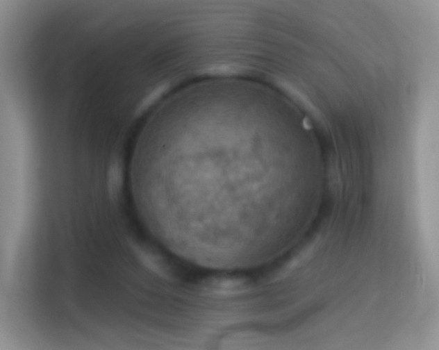 X0000114420208200910231213