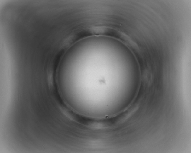 X0000114420209200910231213