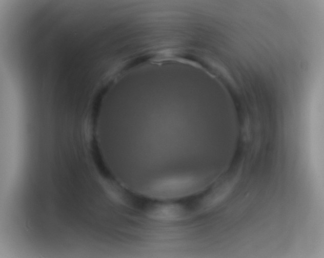 X0000114420210200910231213