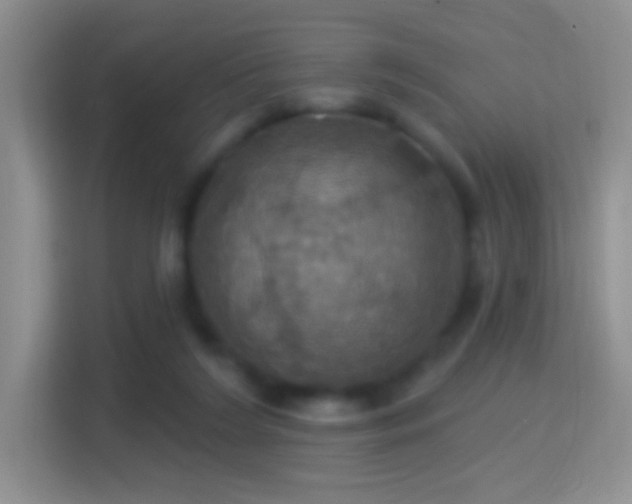 X0000114420212200910231213