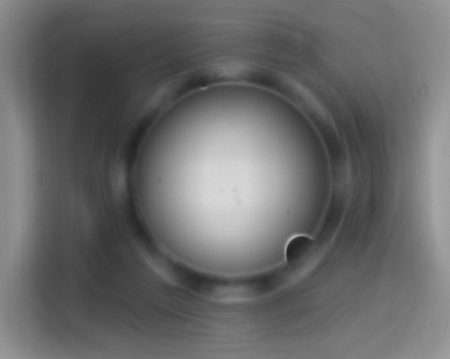 X0000114420213200910231213