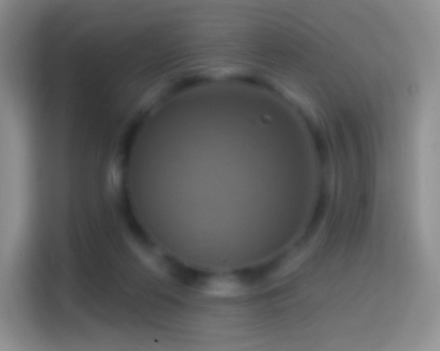 X0000114420214200910231213
