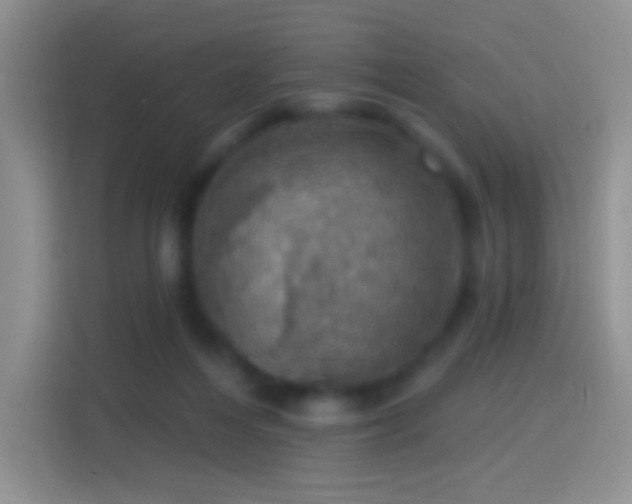 X0000114420216200910231213