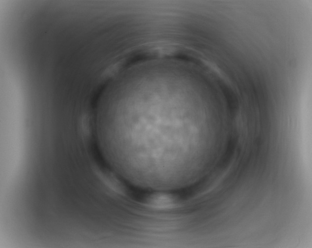 X0000114420218200910231213