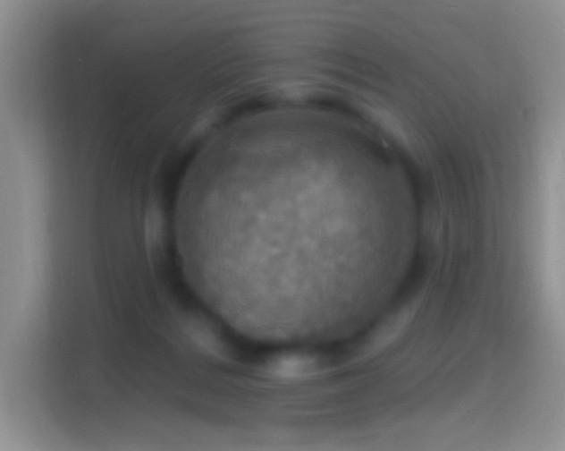 X0000114420220200910231213