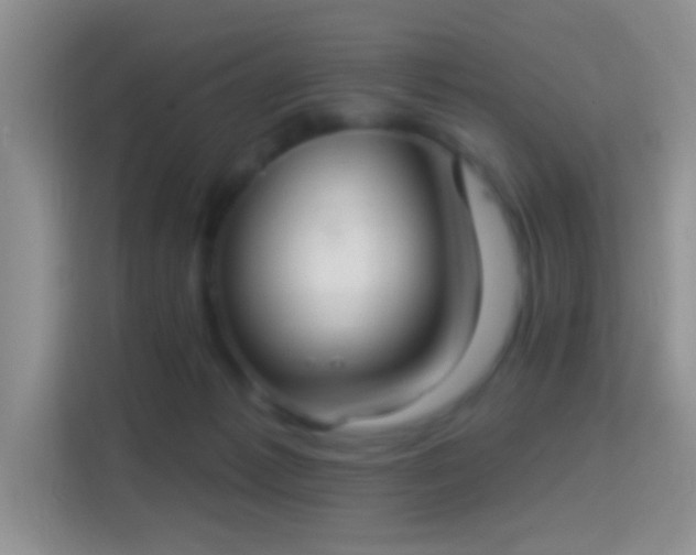 X0000114420221200910231213