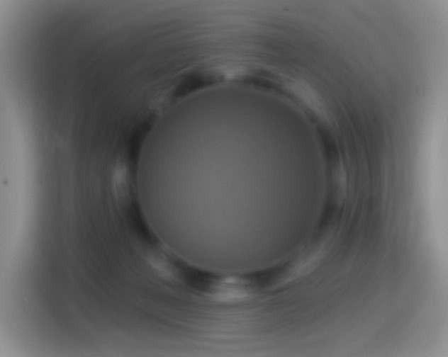 X0000114420222200910231213