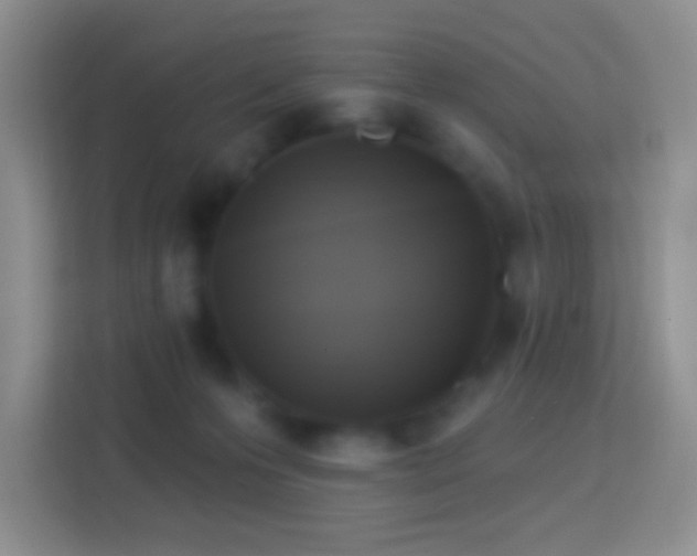 X0000114420223200910231213