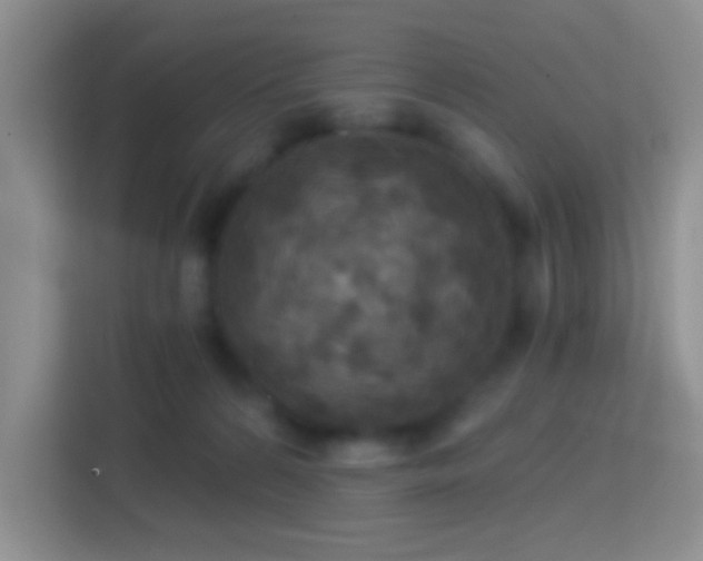 X0000114420224200910231213
