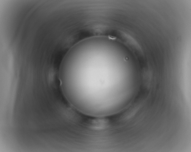 X0000114420225200910231213