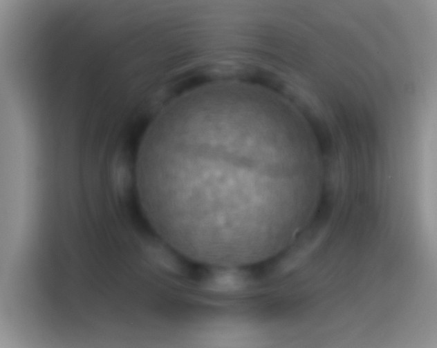 X0000114420226200910231212