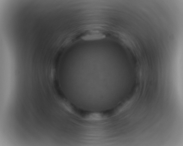 X0000114420227200910231212