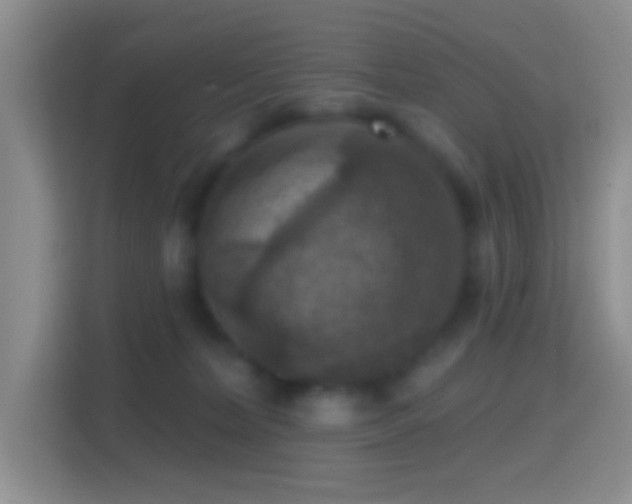 X0000114420228200910231212