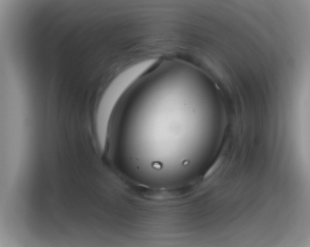 X0000114420229200910231212