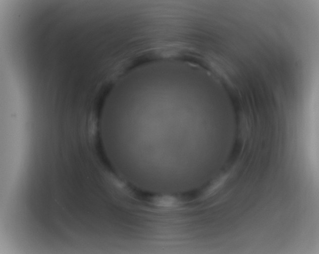 X0000114420230200910231212
