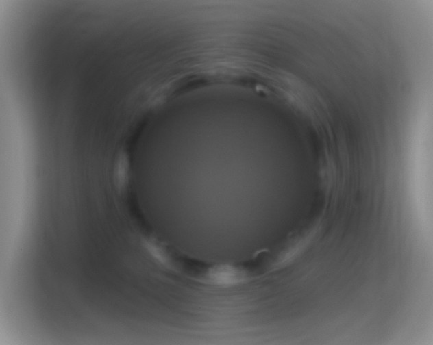 X0000114420231200910231212