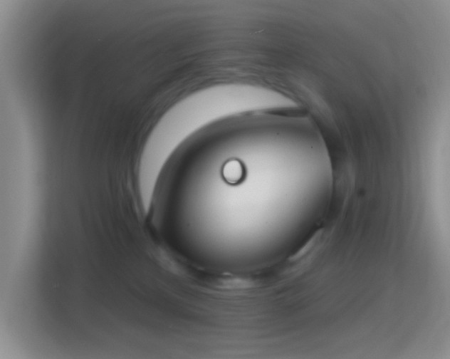 X0000114420233200910231212
