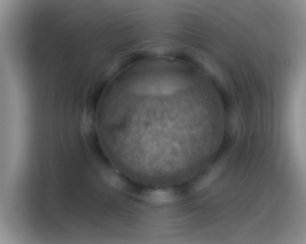 X0000114420236200910231212